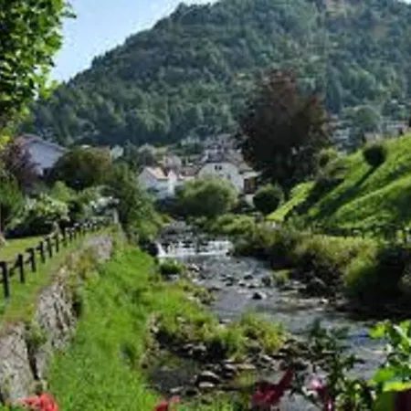 Traditional Chalet In Sapois Vosges With Balcony * Sapois (Vosges)